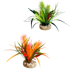 PLANTA JUNGLE SMALL
